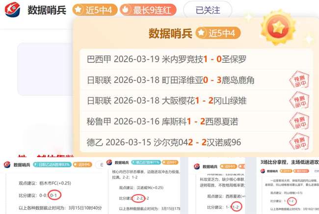 绿军击败活,普裏查德独,怀特得,世界杯下注,2026世界杯,下注策略,赔率分析,最佳平台