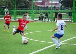 欧洲杯逆袭,西班牙神龟,发挥关键作,世界杯下注,2026世界杯,下注策略,赔率分析,最佳平台