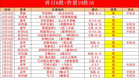 “点球决平：杨立瑜助力，法比奥建奇功，国安蓉城1-1握手言和”